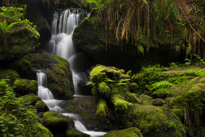 Trillium Falls