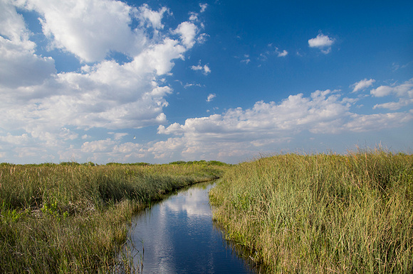 Everglades Canals