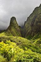 Iao Valley