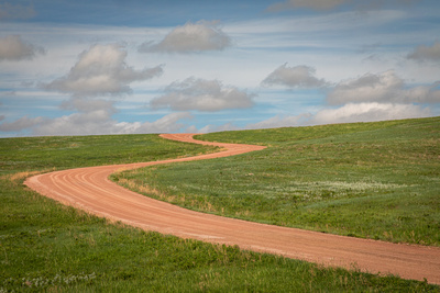 Custer State Park