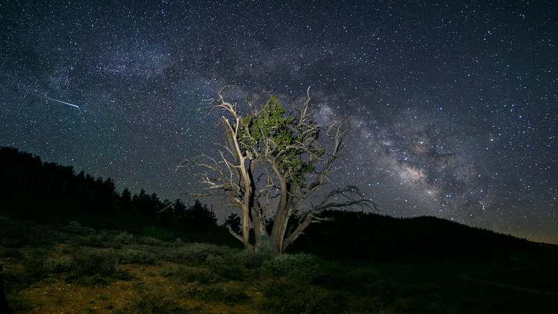 Ancient Bristlecone Milky Way Panoramic