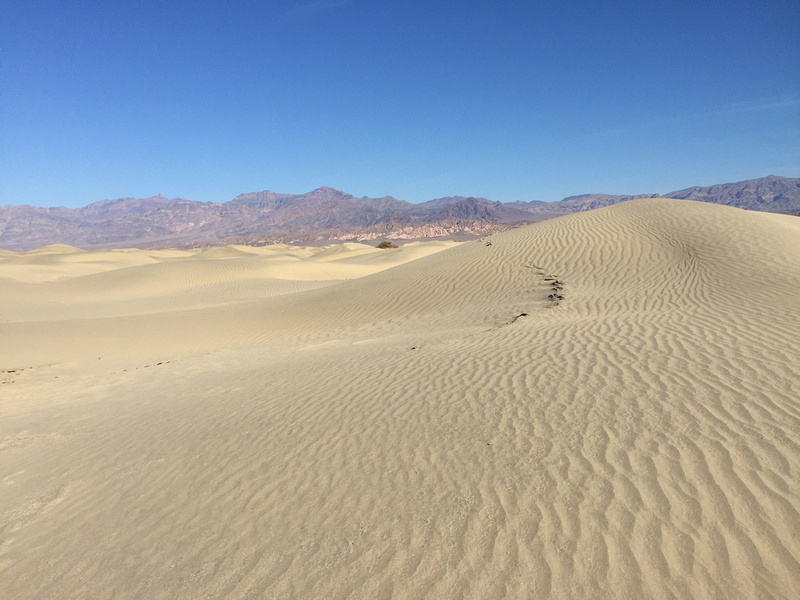 Scouting image for Mesquite dunes