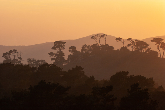 Point Reyes Sunset