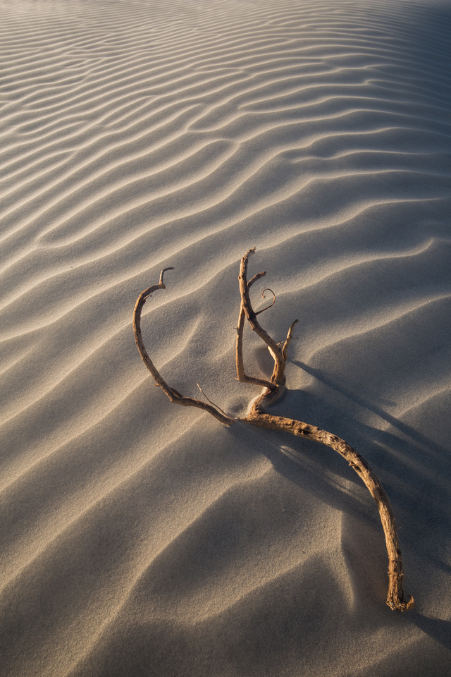 Sand dunes, Death Valley National Park