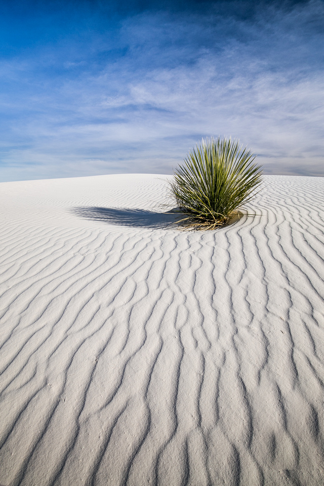 Sand dunes, White Sands National Monument