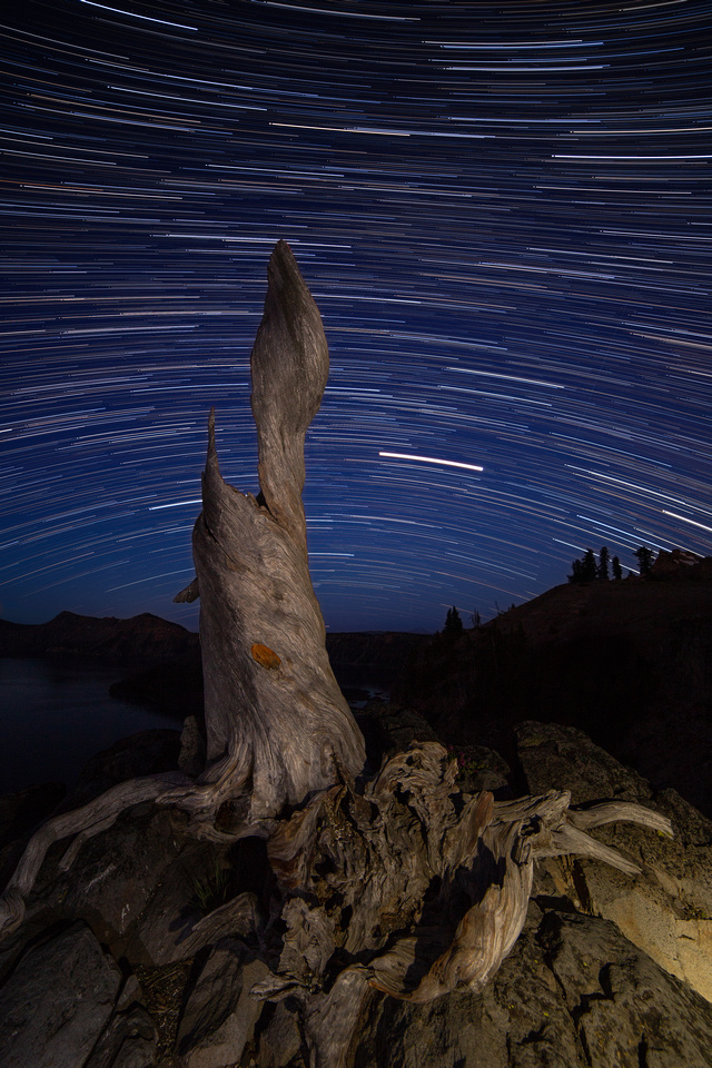 Tree stump star trails,  Crater Lake National Park