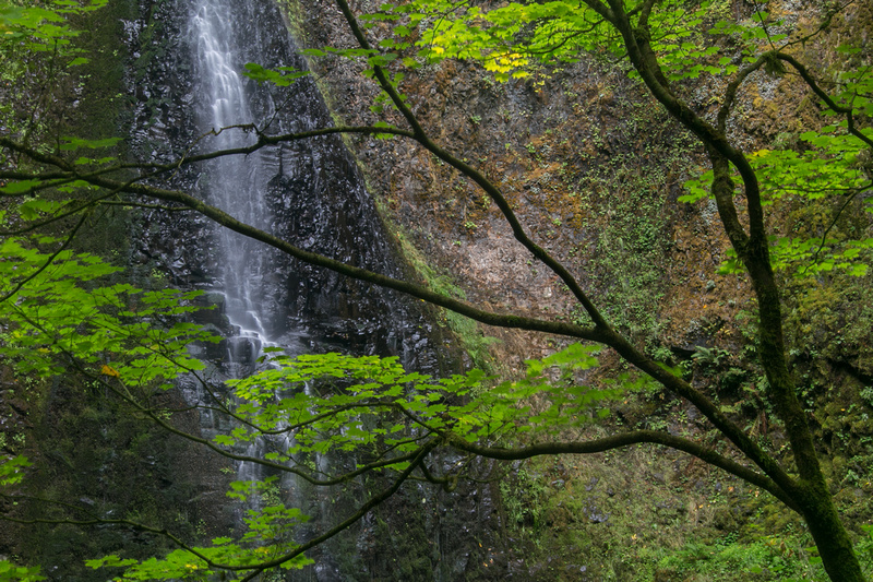 Maple and Double Falls, Silver Falls State Park