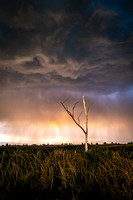 Sacramento National Wildlife Refuge