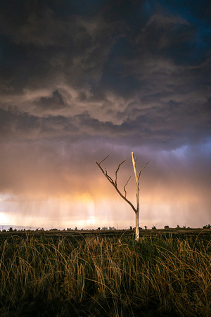 Sacramento National Wildlife Refuge