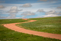 Custer State Park