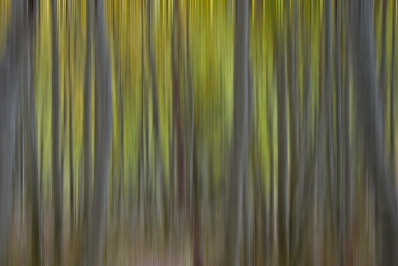 Filter, blur