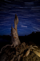 Tree stump star trails,  Crater Lake National Park