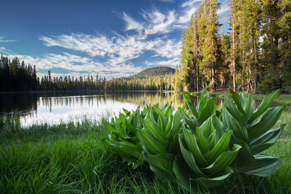 Summit Lake, Lassen Volcanic National Park