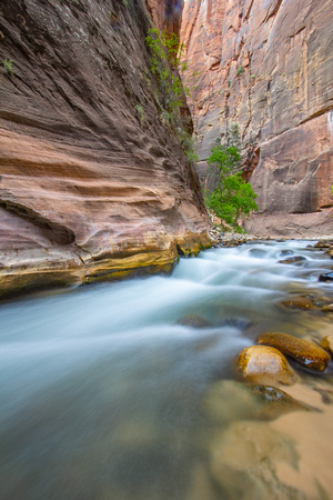 Narrows, Zion National Park