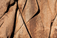 Monzogranite detail, Joshua Tree National Park