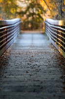 Bridge, Cosumnes River Preserve