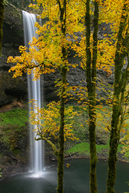 South Falls, Silver Falls State Park - After
