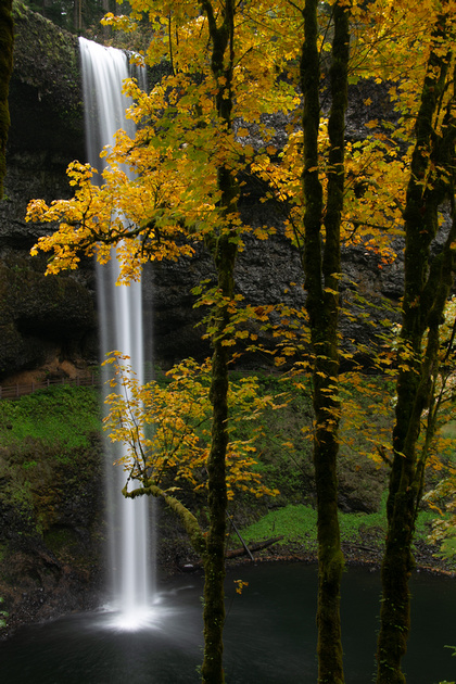 South Falls, Silver Falls State Park - Before