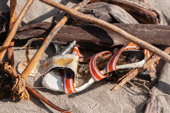 Beach garbage: shoe