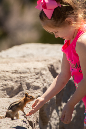 Girl feeding chipmunk