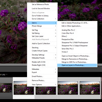 Lightroom menu