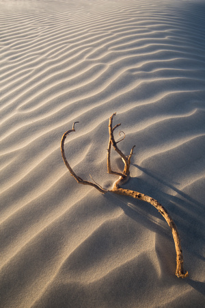 Mesquite Dunes, Death Valley National Park