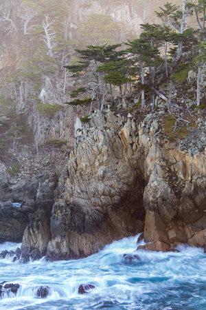 Point Lobos State Park