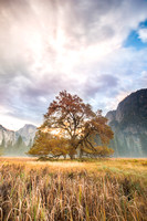 Cooks Meadow, Yosemite National Park