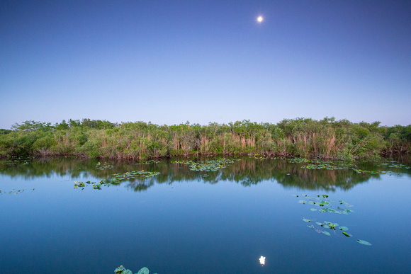 Anhinga Trail