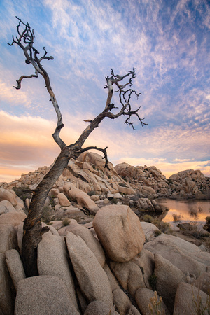 Barker Dam, Joshua Tree National Park