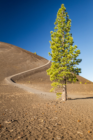 Cinder Cone trail, Lassen National Park