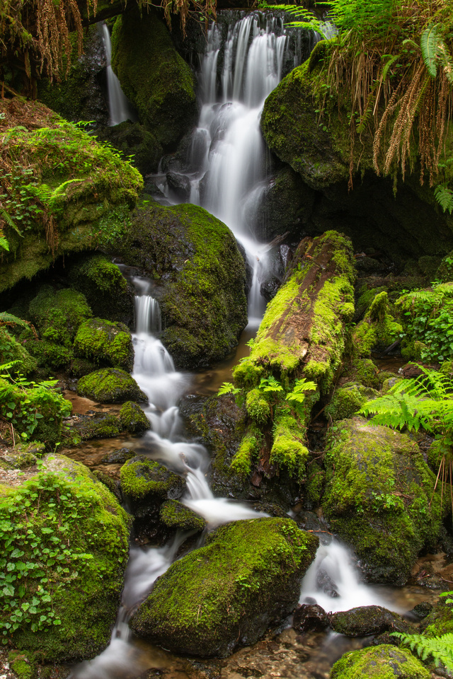Trillium Falls, Redwoods National Park