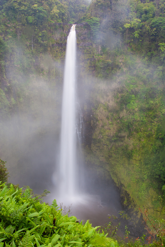 Akaka Falls, Kona (Big Island), Hawaii