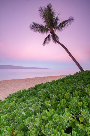 Kaanapali Beach at dawn, Maui, Hawaii