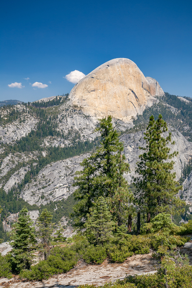 Half Dome from the John Muir Trail
