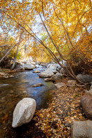 Bishop Creek, Bishop California