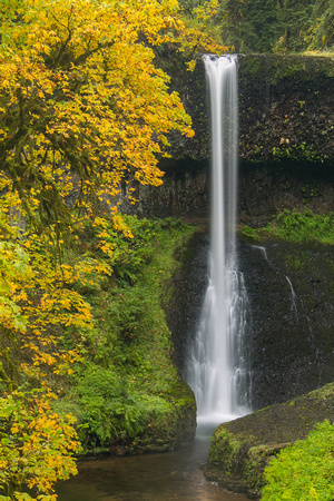 Middle North Falls, Silver Falls State Park, Oregon