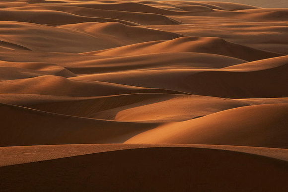 Art Wolfe, San Dunes