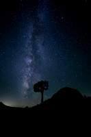 Olmsted Point, Yosemite National Park