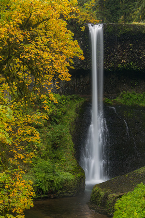 Middle North Falls, Silver Falls State Park, Oregon