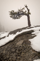 Beetle Rock, Sequoia National Park