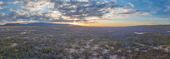 Sunset, Carrizo Plains