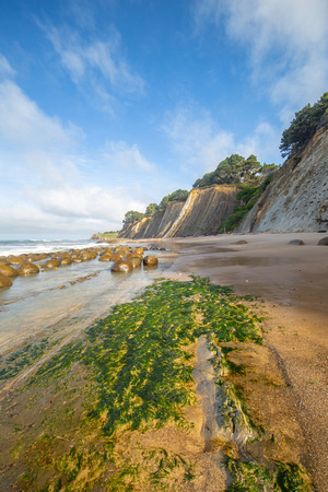 Bowling Ball Beach