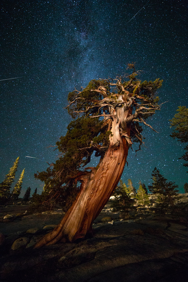 Olmsted Point Perseids Meteor Shower